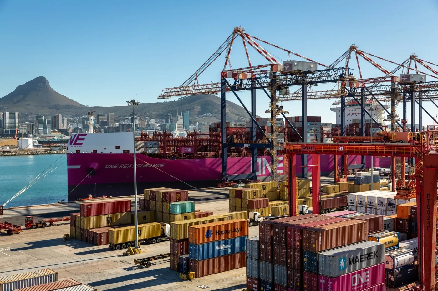Containers and gantry cranes at the Port of Cape Town, a key gateway for Western Cape exporters