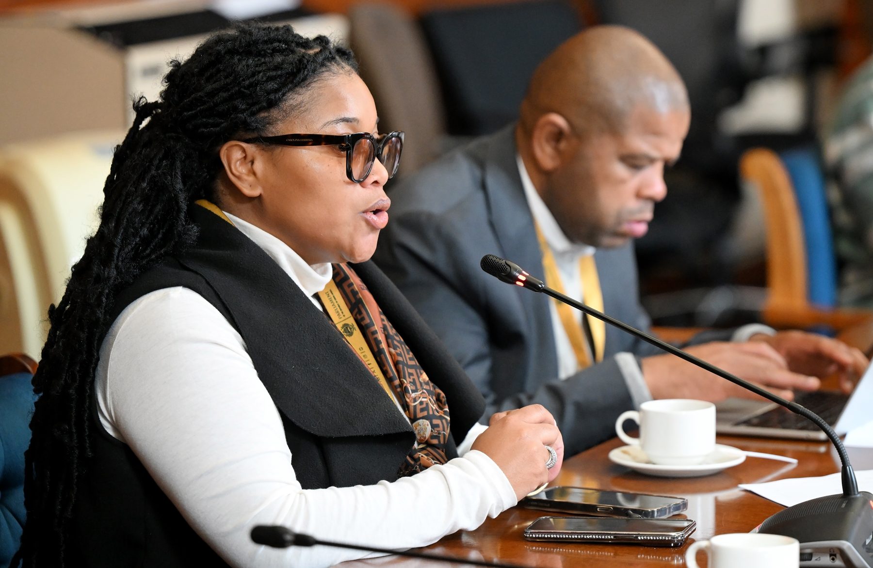 A South African parliamentary committee briefing